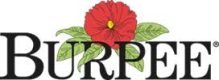 Burpee